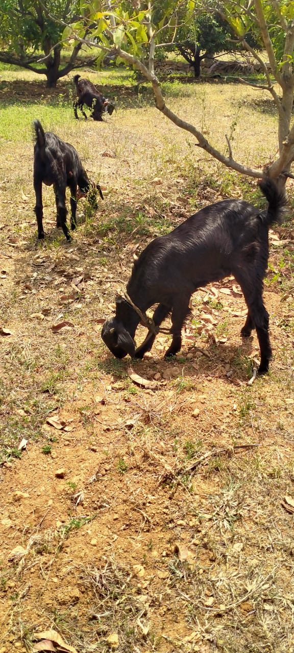 WhatsApp Image 2023-09-30 at 10.30.58 AM