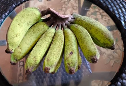 chingan banana chingan banana