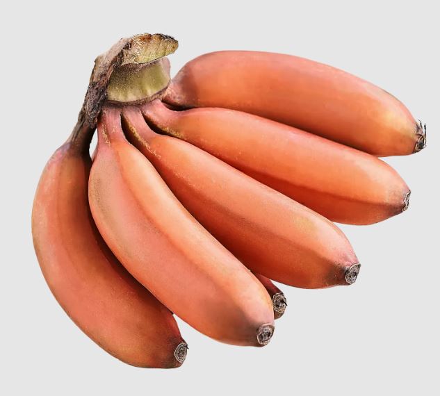 red banana red banana
