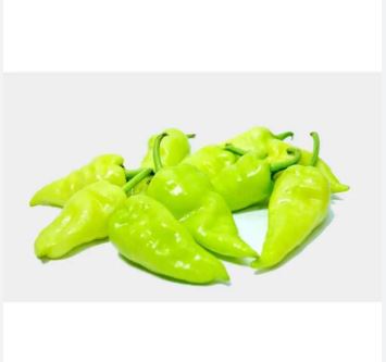 thonden chilli picture thondan mulaku